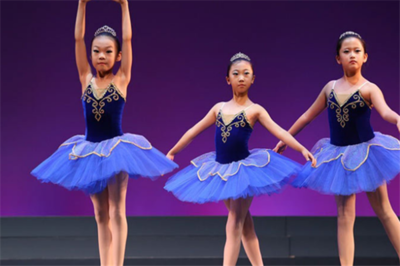 舞動(dòng)青春旋律，綻放藝術(shù)之花——蓓蕾舞蹈與歌唱表演服務(wù)全解析