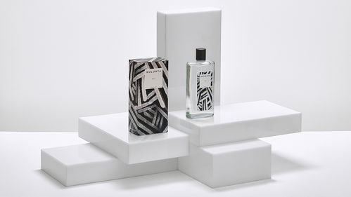 創意視覺交響曲 包裝、插畫、標志與網站的融合之美