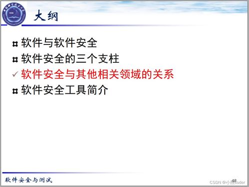 2024年網(wǎng)絡(luò)安全 軟件安全基礎(chǔ)、架構(gòu)組件與安全開發(fā)詳解
